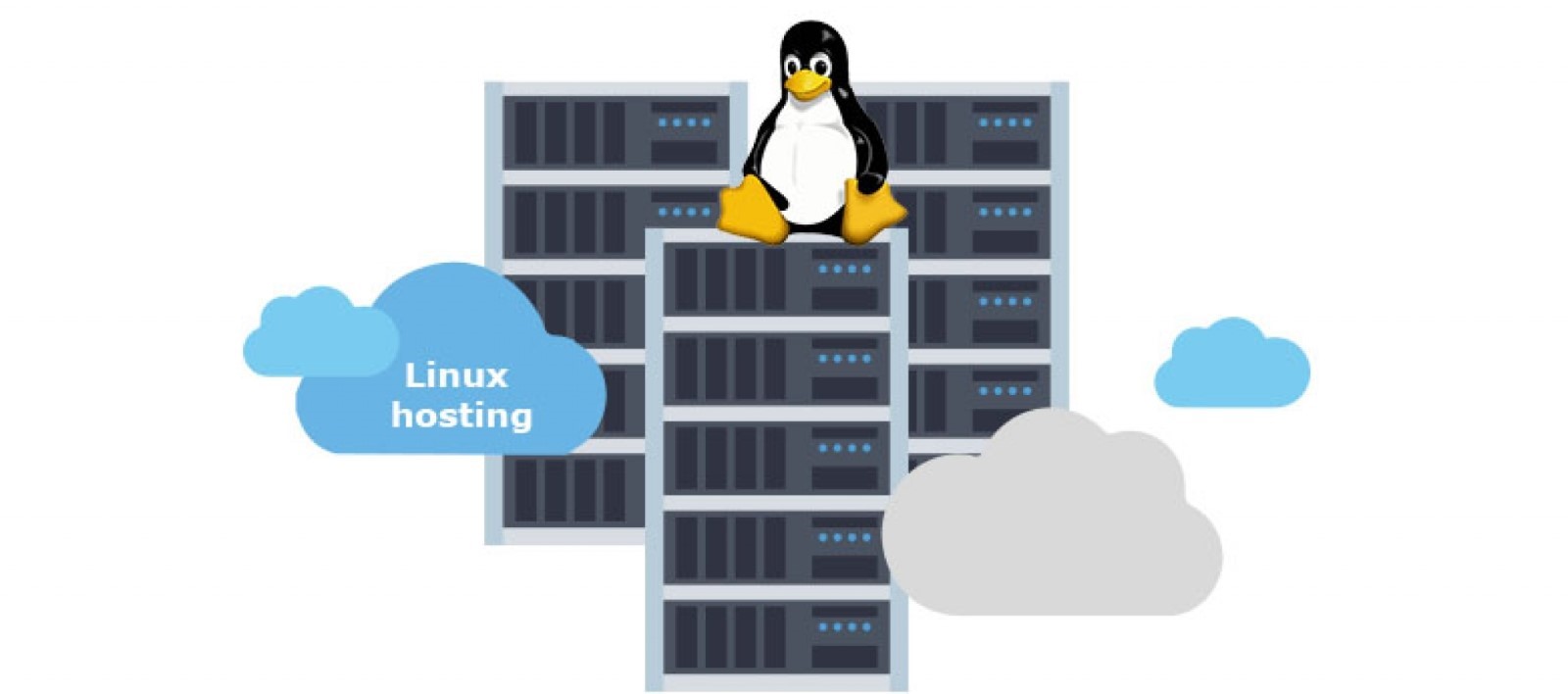 Mini hosting. Хостинг для линукс. Web Server hosting Linux. Hosts Linux. Свое облако Linux сервер.