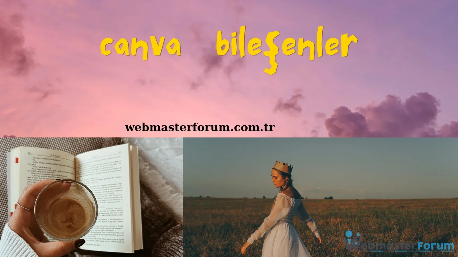 canva bileşenler.webp