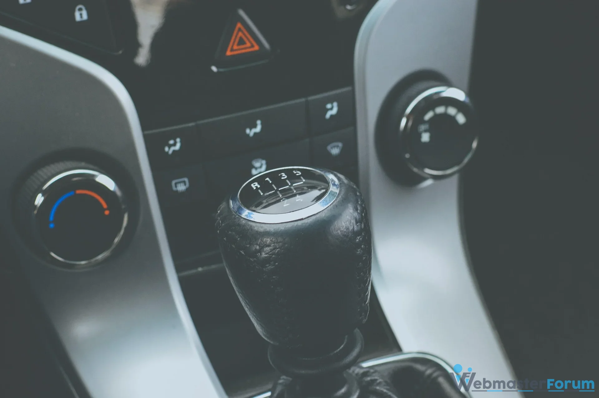 manuel vites ana.webp