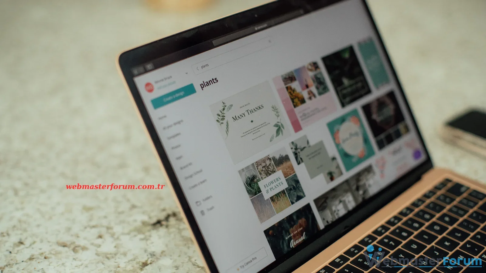web tasarım.webp