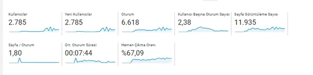 son 20 günlük.webp