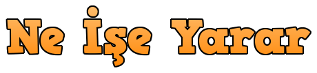 1597785102559.webp.png