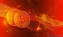 Kripto Para Hesapları Borsayı Katladı