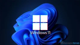 Bilgisayar Hızını ve FPS Arttıracak Windows 11 Performans Ayarları!