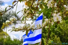 israil bölgesi ajan.webp