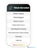 20.webp