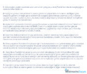 26.webp