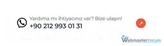 513827873.webp