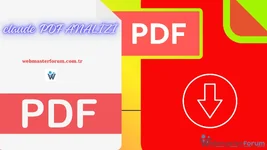 Claude PDF Rapor Analizleri