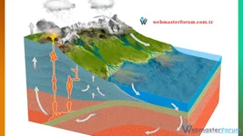 infografik görsel.webp
