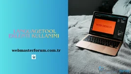 web dili.webp