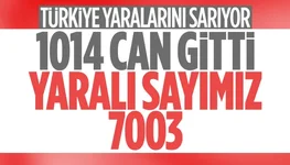 1675688137049.webp