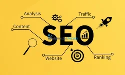 AMO (SEO) Nedir?