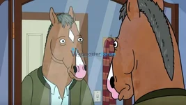 bojack horseman.webp