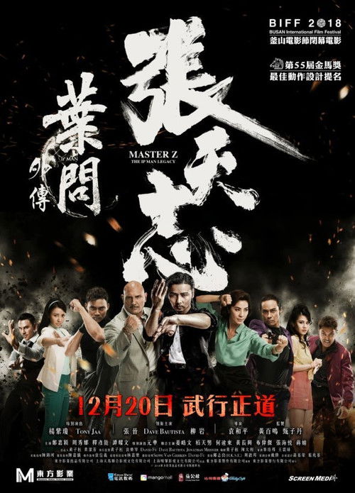 Usta Z: Ip Man'in Mirası