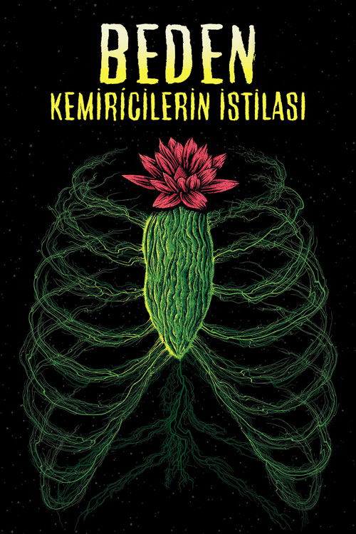 Beden Kemiricilerin İstılası