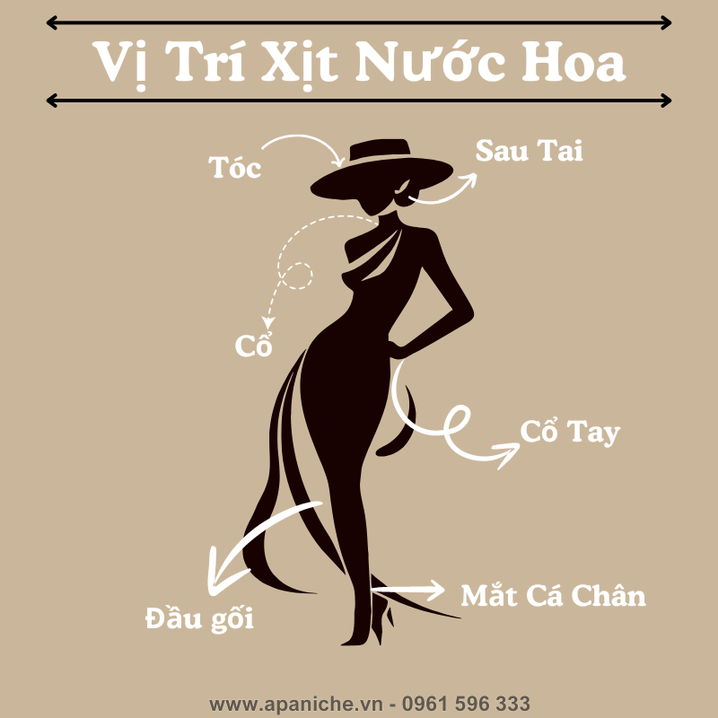 Vi-Tri-Xit-Nuoc-Hoa.png